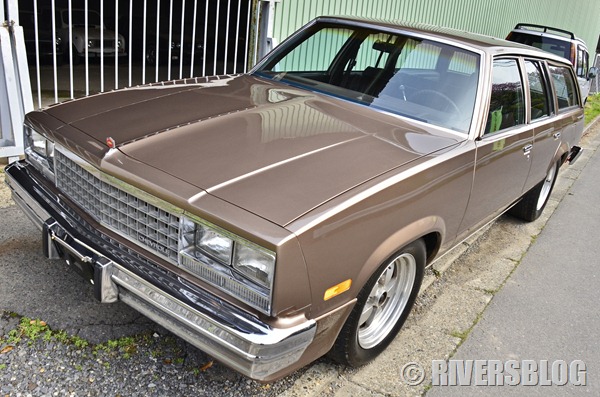 83 Chevrolet Malibu CL Wagon 下見 1983 シボレー マリブ ワゴン